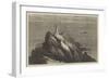 The Start Lighthouse, South Devon-Samuel Read-Framed Giclee Print