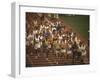 The Start of the 26 Mile Marathon at Summer Olympics-null-Framed Photographic Print
