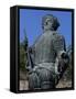 The Statue of Francisco De Almeida, Abrantes, Portugal-null-Framed Stretched Canvas