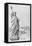 The Statue of Liberty, New York, C.1885 (Engraving) (B/W Photo)-American-Framed Stretched Canvas