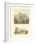 The Statue of Peter the Great on Horse in St. Petersburg-null-Framed Giclee Print