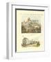 The Statue of Peter the Great on Horse in St. Petersburg-null-Framed Giclee Print