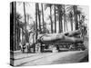 The Statue of Rameses II, Cairo, Egypt, C1920S-null-Stretched Canvas