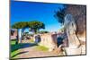 The statue of Victory on the rear of the Temple of Rome and Augustus-Nico Tondini-Mounted Photographic Print