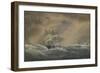 The Steam Frigate Svetlana, 1878-Alexander Karlovich Beggrov-Framed Giclee Print