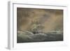 The Steam Frigate Svetlana, 1878-Alexander Karlovich Beggrov-Framed Giclee Print