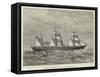 The Steam-Ship Chimborazo, of the Orient Line, for Australia-null-Framed Stretched Canvas