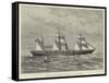 The Steam-Ship Chimborazo, of the Orient Line, for Australia-null-Framed Stretched Canvas