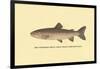 The Steelhead Trout-H.h. Leonard-Framed Art Print