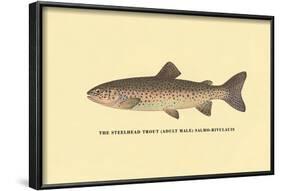 The Steelhead Trout-H.h. Leonard-Framed Art Print