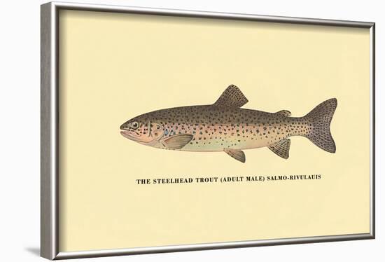 The Steelhead Trout-H.h. Leonard-Framed Art Print