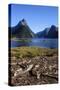 The Steep Cliffs of Milford Sound-Michael-Stretched Canvas