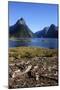 The Steep Cliffs of Milford Sound-Michael-Mounted Photographic Print