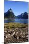 The Steep Cliffs of Milford Sound-Michael-Mounted Photographic Print