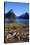 The Steep Cliffs of Milford Sound-Michael-Stretched Canvas