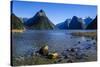 The Steep Cliffs of Milford Sound-Michael-Stretched Canvas