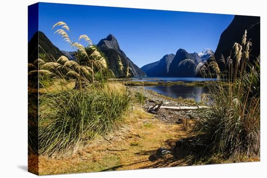 The Steep Cliffs of Milford Sound-Michael-Stretched Canvas