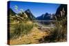 The Steep Cliffs of Milford Sound-Michael-Stretched Canvas