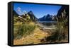 The Steep Cliffs of Milford Sound-Michael-Framed Stretched Canvas