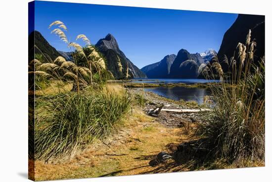 The Steep Cliffs of Milford Sound-Michael-Stretched Canvas