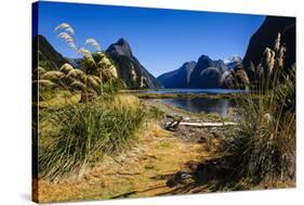 The Steep Cliffs of Milford Sound-Michael-Stretched Canvas