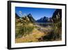 The Steep Cliffs of Milford Sound-Michael-Framed Photographic Print