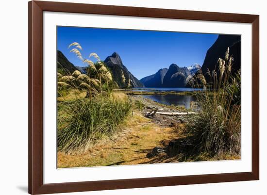 The Steep Cliffs of Milford Sound-Michael-Framed Photographic Print