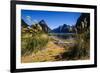 The Steep Cliffs of Milford Sound-Michael-Framed Photographic Print