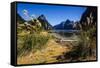 The Steep Cliffs of Milford Sound-Michael-Framed Stretched Canvas