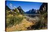 The Steep Cliffs of Milford Sound-Michael-Stretched Canvas