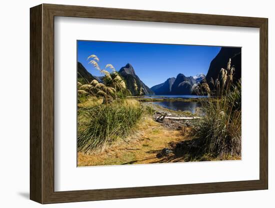 The Steep Cliffs of Milford Sound-Michael-Framed Photographic Print