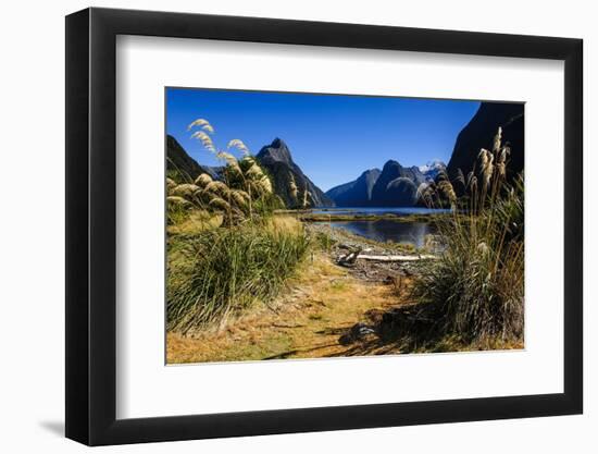 The Steep Cliffs of Milford Sound-Michael-Framed Photographic Print