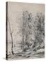 'The Steeple of Saint-Nicolas-Les-Arras', c.1870s, (1946)-Jean-Baptiste-Camille Corot-Stretched Canvas