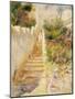 The Steps, Algiers-Pierre-Auguste Renoir-Mounted Giclee Print