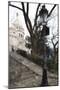 The steps of the Basilica in Montmartre-Philippe Hugonnard-Mounted Giclee Print