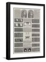 The Stereoscope, Pseudoscope, and Solid Daguerreotypes-null-Framed Giclee Print