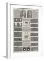 The Stereoscope, Pseudoscope, and Solid Daguerreotypes-null-Framed Giclee Print