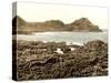 The Steuchans, Giant's Causeway, 1890s-Science Source-Stretched Canvas