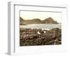 The Steuchans, Giant's Causeway, 1890s-Science Source-Framed Giclee Print