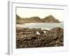 The Steuchans, Giant's Causeway, 1890s-Science Source-Framed Giclee Print