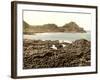 The Steuchans, Giant's Causeway, 1890s-Science Source-Framed Giclee Print