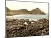 The Steuchans, Giant's Causeway, 1890s-Science Source-Mounted Giclee Print