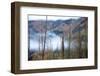 The Stewart Cassiar Highway Provides Access to Central Northern Park, B.C, an Area Rich in Wildlife-Richard Wright-Framed Photographic Print