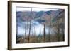 The Stewart Cassiar Highway Provides Access to Central Northern Park, B.C, an Area Rich in Wildlife-Richard Wright-Framed Photographic Print