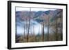 The Stewart Cassiar Highway Provides Access to Central Northern Park, B.C, an Area Rich in Wildlife-Richard Wright-Framed Photographic Print