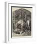 The Stirrup Cup-James Herring-Framed Giclee Print