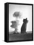 The Stokes Shot Was a 19 Kiloton Explosion Detonated While Suspended from Barrage Balloons-null-Framed Stretched Canvas