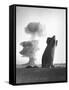 The Stokes Shot Was a 19 Kiloton Explosion Detonated While Suspended from Barrage Balloons-null-Framed Stretched Canvas