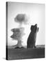 The Stokes Shot Was a 19 Kiloton Explosion Detonated While Suspended from Barrage Balloons-null-Stretched Canvas
