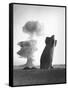 The Stokes Shot Was a 19 Kiloton Explosion Detonated While Suspended from Barrage Balloons-null-Framed Stretched Canvas